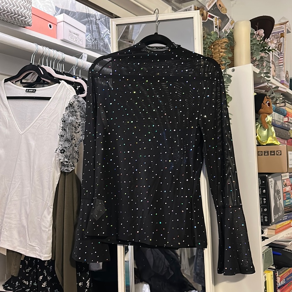 Sheer Blouse